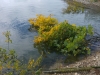 20171001_121645