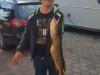 Hecht